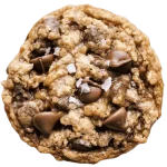 Oatmeal Chocolate Chip Cookie